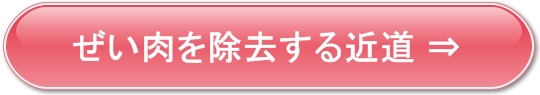 ぜい肉を除去,モデル脚,美脚,ぜい肉
