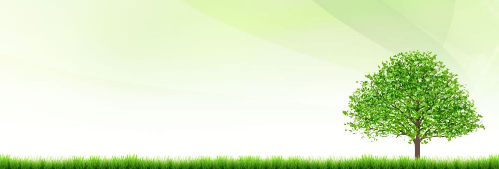 ����̃A���}�~�X�g