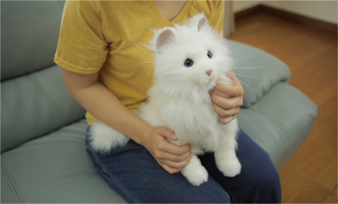 �L�^�y�b�g���{�b�g,���˂��v���~�A��,�L�^�y�b�g,�y�b�g���{�b�g